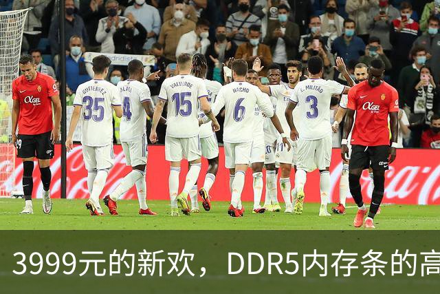 3999元的新欢，DDR5内存条的高端情感纠葛